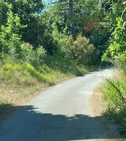 公寓 Vacanze Malu *